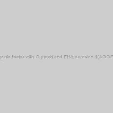 Image of Goat Angiogenic factor with G patch and FHA domains 1(AGGF1) ELISA kit